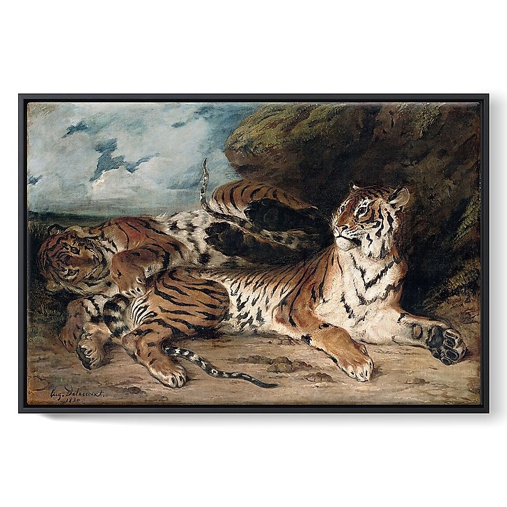 Étude de deux tigres, dit aussi Jeune tigre jouant avec sa mère (toiles encadrées)