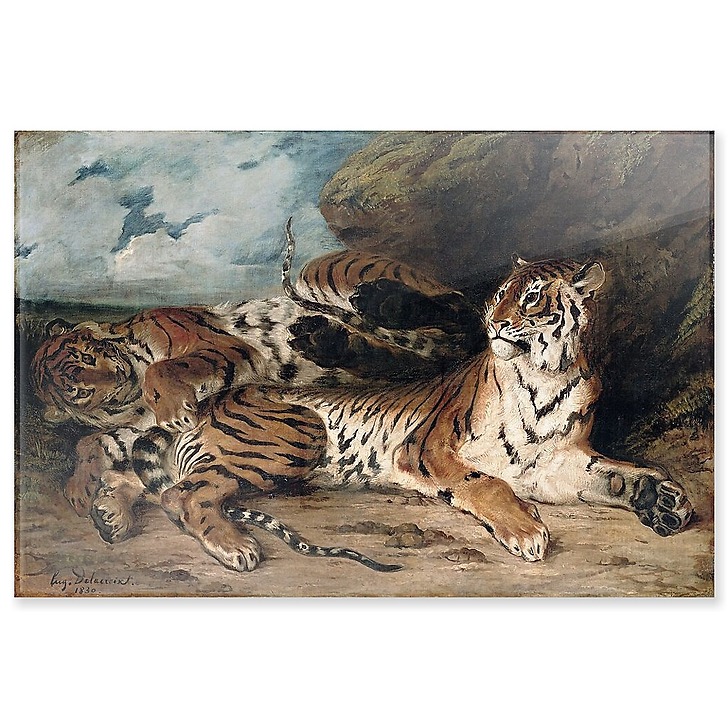 Study of two tigers, also known as Young Tiger playing with his mother (acrylic panels)