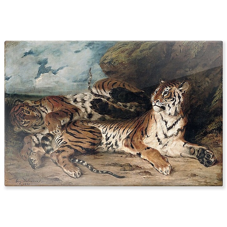 Étude de deux tigres, dit aussi Jeune tigre jouant avec sa mère (panneaux aluminium)