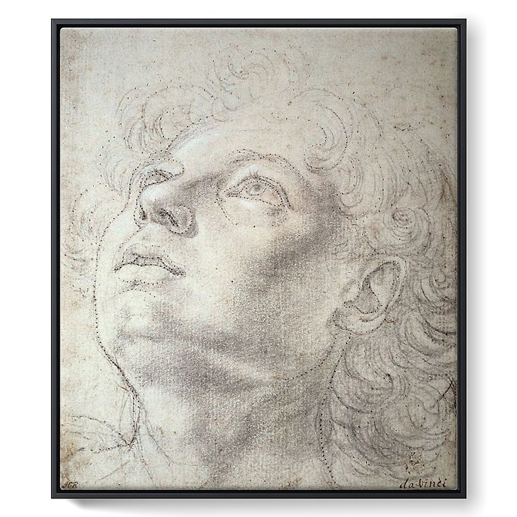 Étude de tête (toiles encadrées)