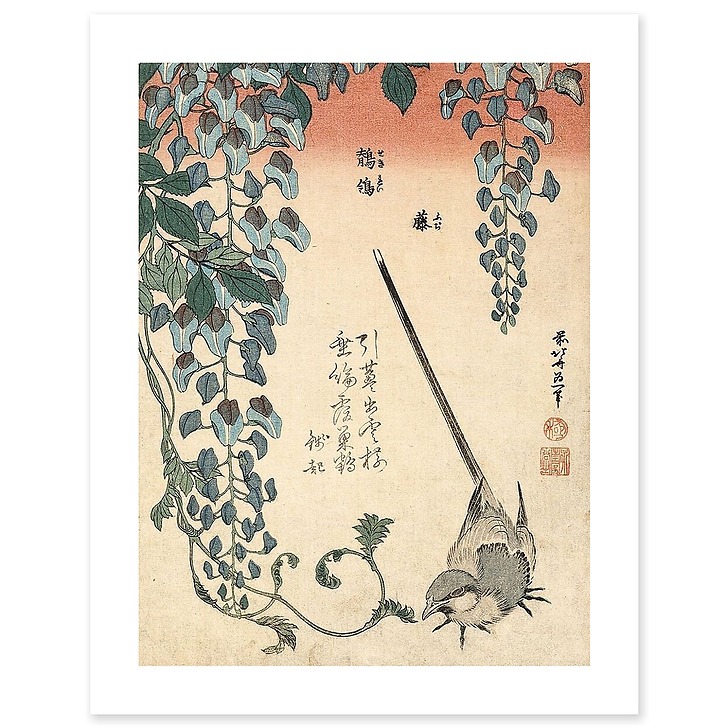 Bergeronnette et glycine (canvas without frame)