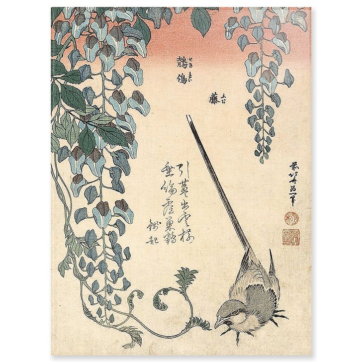 Bergeronnette et glycine (acrylic panels)