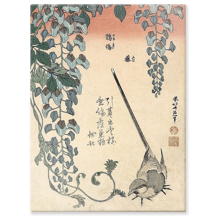 Bergeronnette et glycine (aluminium panels)