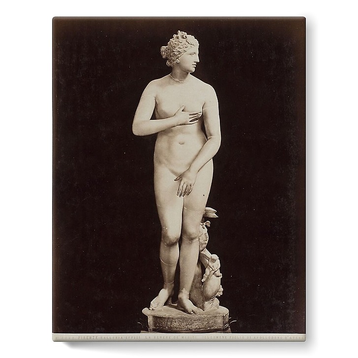 Firenze - Galleria Uffizi, la Venere de' Medici (Cléomène) (stretched canvas)