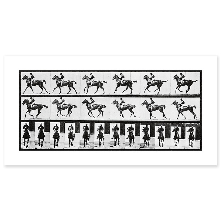 Cheval au galop (toiles sans cadre)