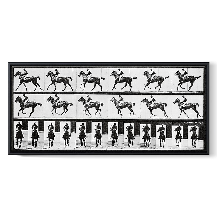 Cheval au galop (toiles encadrées)