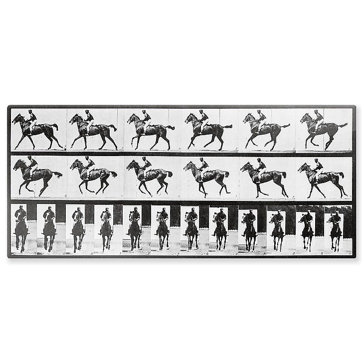 Cheval au galop (panneaux aluminium)