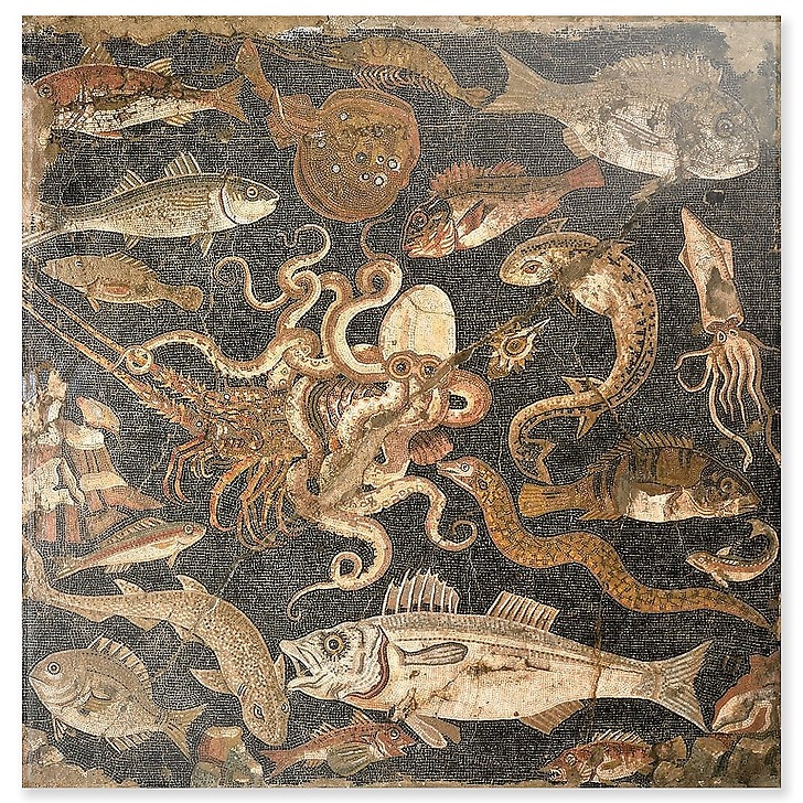 Mosaïque représentant une bataille entre une pieuvre et un homard (détail), IIe siècle avant J.-C. (panneaux acryliques)