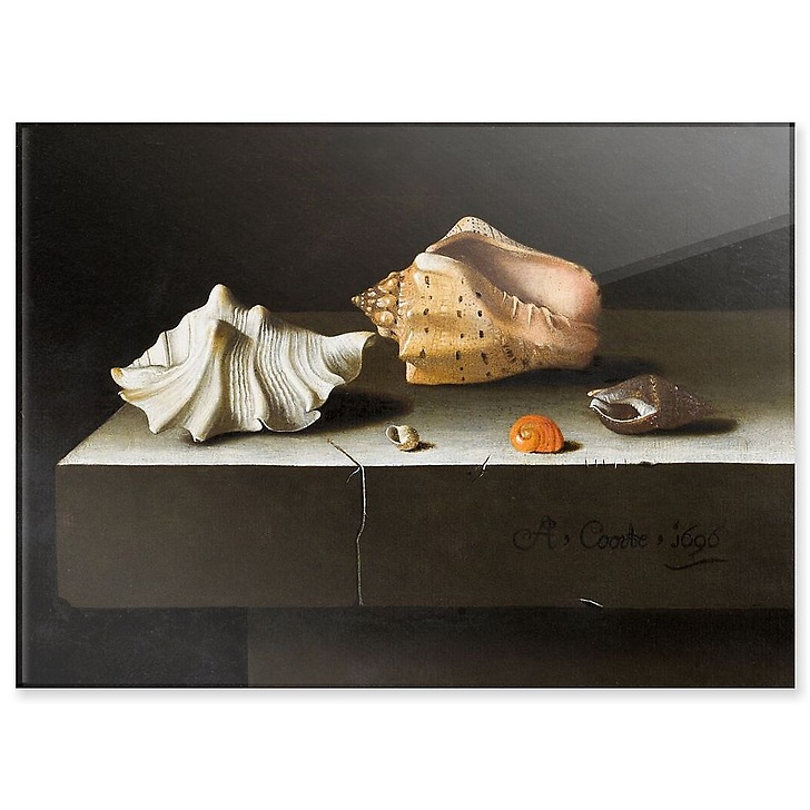 Cinq coquillages sur une tablette de pierre (acrylic panels)