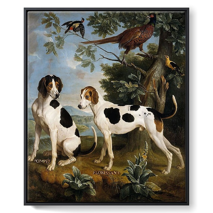 Pompée et Florissant, chiens de Louis XV (framed canvas)
