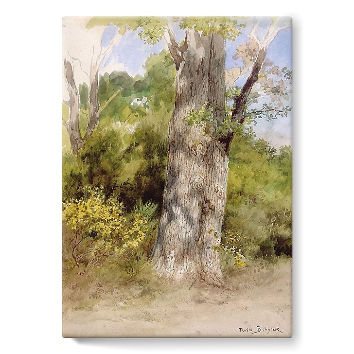 Le Gros Chêne (stretched canvas)