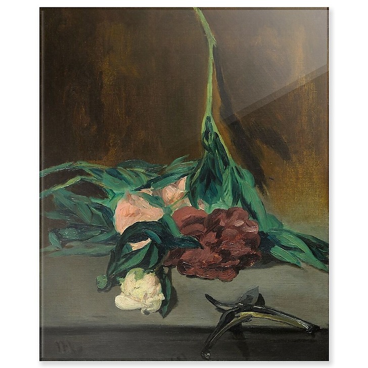 Tige de pivoines et sécateur (acrylic panels)