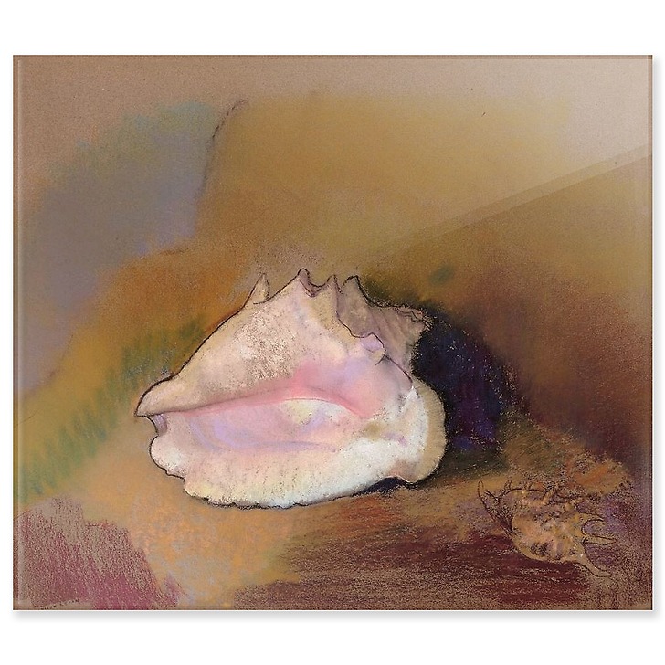 La Coquille (détail) (acrylic panels)