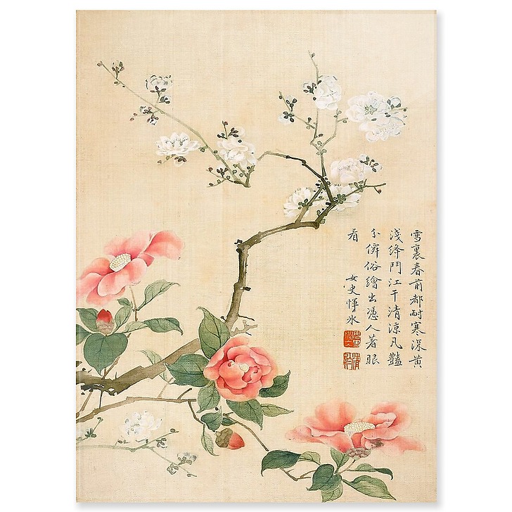 Album illustré de dix feuillets : Fleurs et insectes, dynastie Qing (acrylic panels)