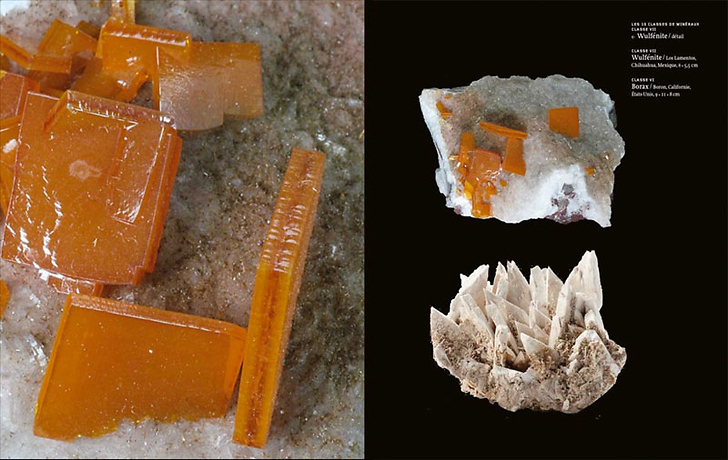 Trésors de la terre. Collections de la galerie de Minéralogie