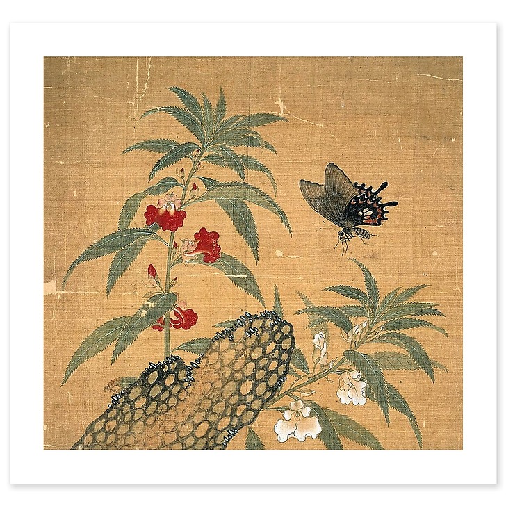 Fleurs et insectes (toiles sans cadre)