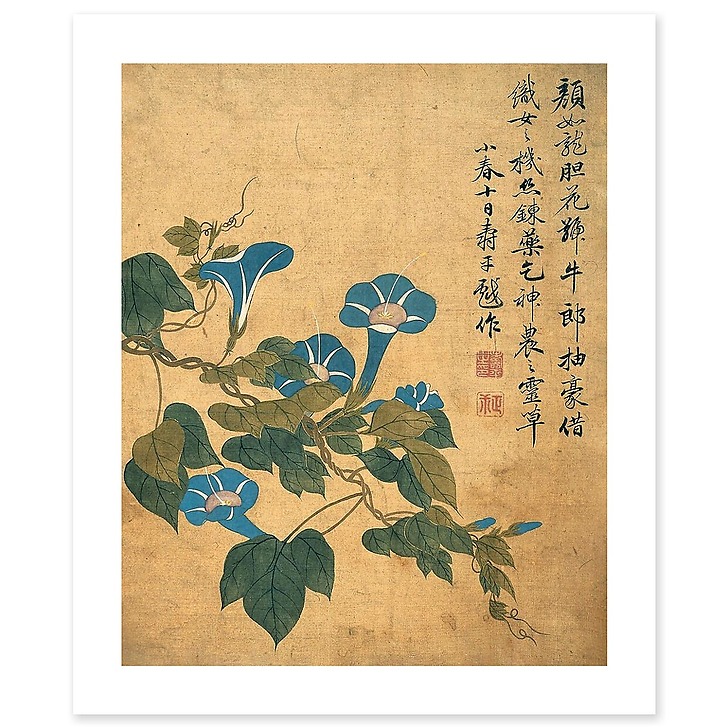 Album de douze feuilles : fleurs (affiches d'art)