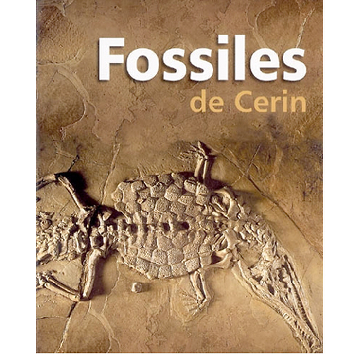 Fossiles de Cerin