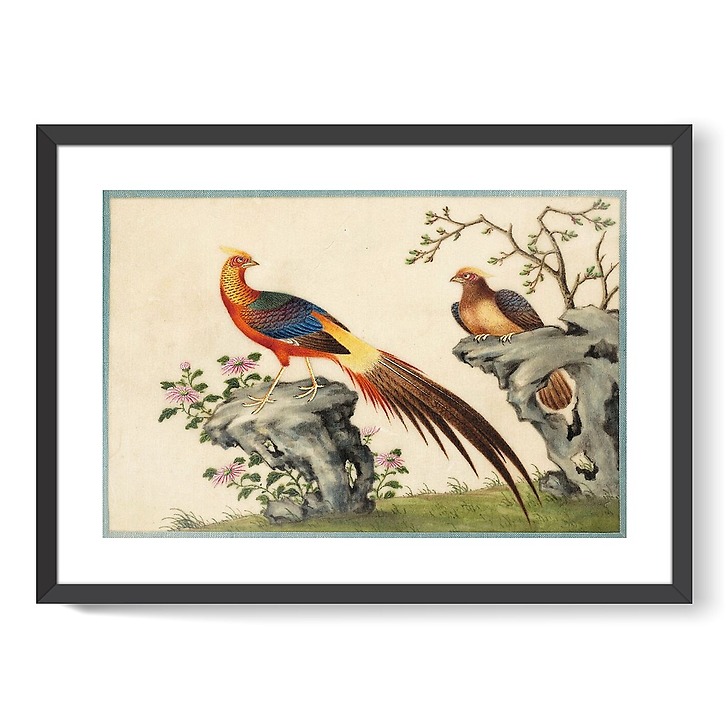 Page d'un album de peinture d’exportation figurant des décors de fleurs et oiseaux (framed art prints)