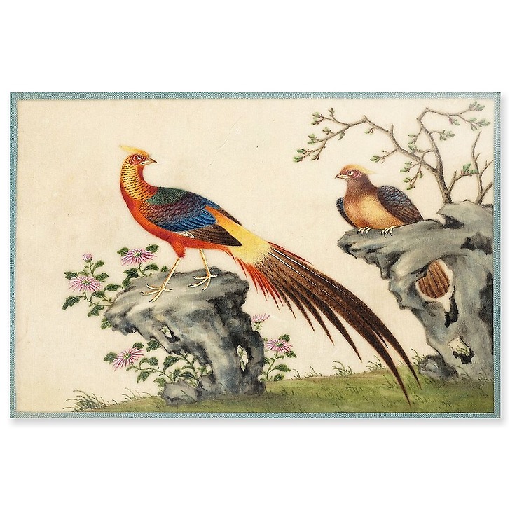 Page d'un album de peinture d’exportation figurant des décors de fleurs et oiseaux (acrylic panels)