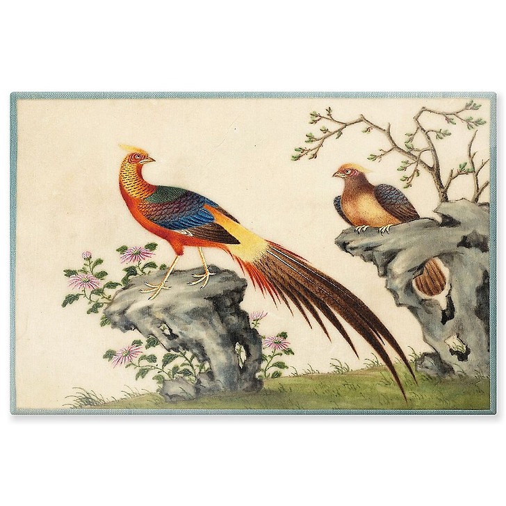 Page d'un album de peinture d’exportation figurant des décors de fleurs et oiseaux (aluminium panels)
