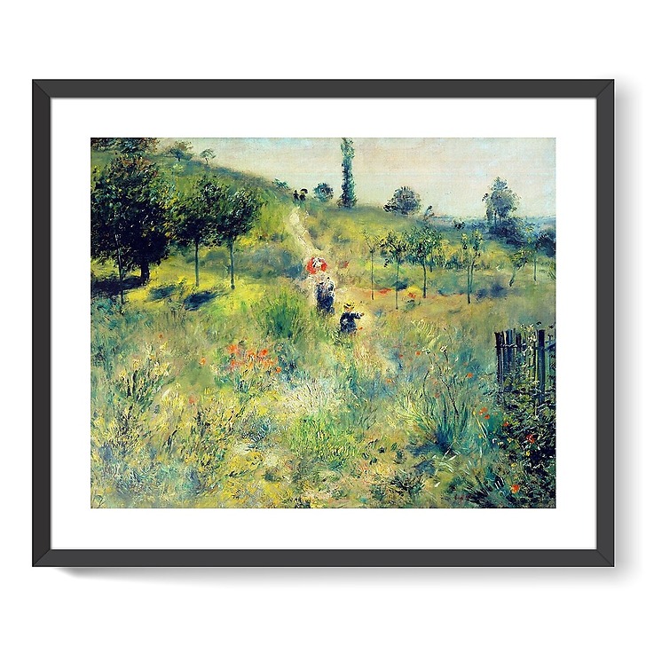 Chemin montant dans les hautes herbes (framed art prints)