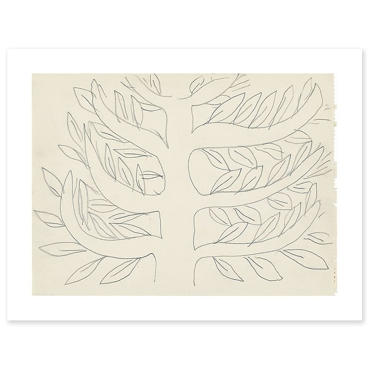 Arbre, platane (toiles sans cadre)