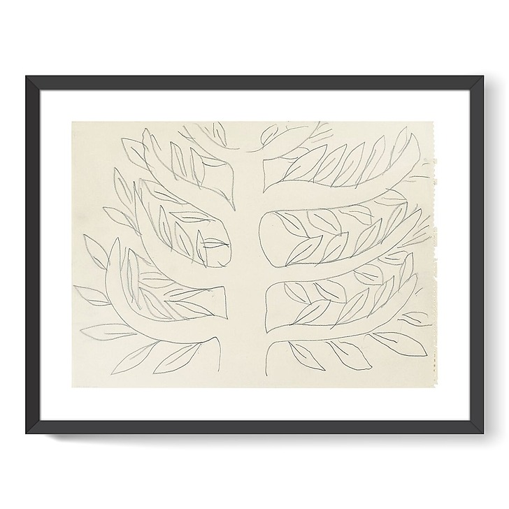 Arbre, platane (affiches d'art encadrées)