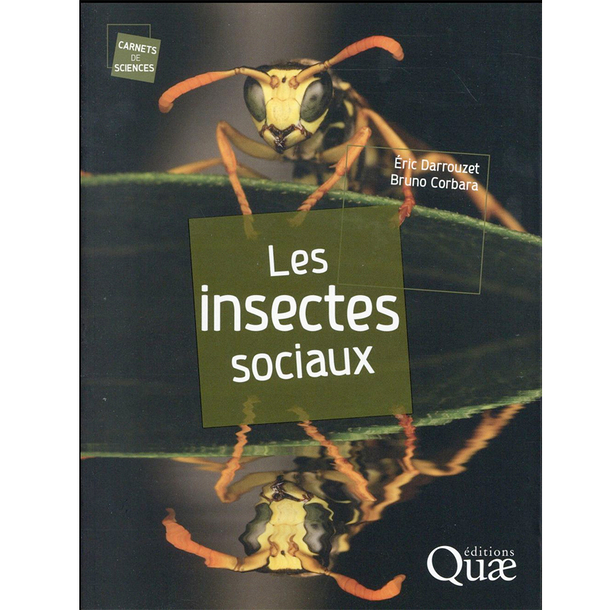 Les insectes sociaux