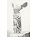 The Winged Victory of Samothrace