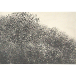 Allant vers les roches noires, 2001 - Bertrand Henry