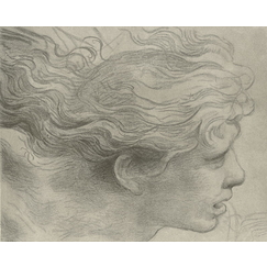 Etude pour un ange pour la fresque : "Héliodore chassé du temple" (Dans la chambre d'Héliodore au palais Vatican)