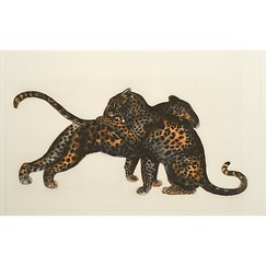 Engraving Leopard games - Georges-Lucien Guyot