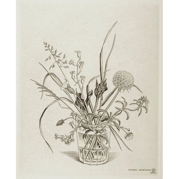 Fleurs des champs dans un verre (printemps)