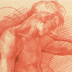 Engraving Study of man figure - Andrea del Sarto