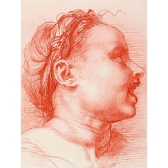 Tête d'enfant souriant, tourné à droite - Andrea del Sarto