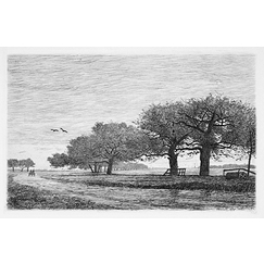 Engraving Apple trees in Damville - Emile-Frédéric Nicolle