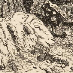 Le mouton - Emile-Frédéric Nicolle