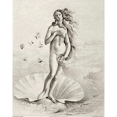 Naissance de Vénus. Fragment - Botticelli