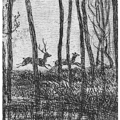 Les cerfs sous bois - Charles-François Daubigny