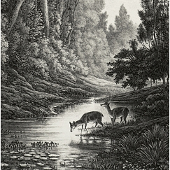 Engraving In the morning, The deers - Charles-François Daubigny