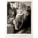 La Vierge, l'enfant Jésus et Saint Jean - Botticelli