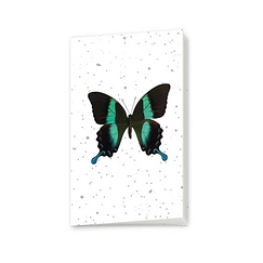 Small Notebook Papilio Blumei 