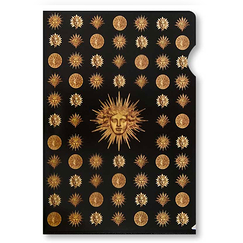 Clear File Palace of Versailles - Emblems