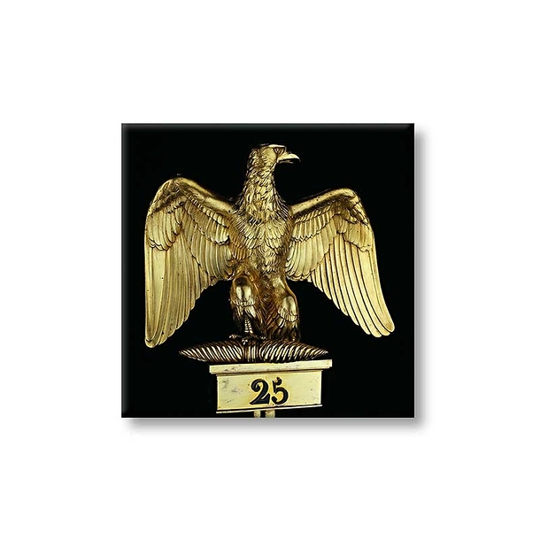 Magnet - Aigle