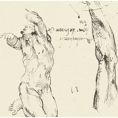 Engraving Study of male nude and study of arm - Michelangelo
