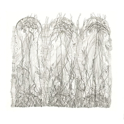 Grotto - Eva Jospin
