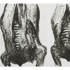 Carcasses - Philippe Cognée