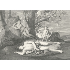 Echo and Narcissus or the death of Narcissus