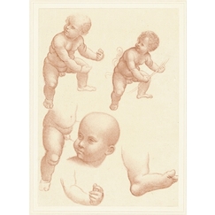 Étude d'enfant - Léonard de Vinci